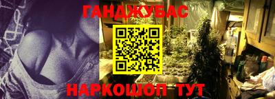 крисы Дубна