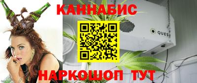 крисы Дубна