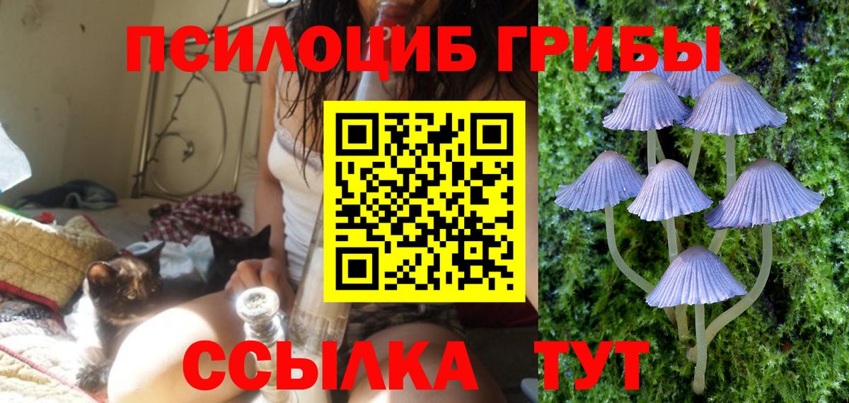 Бутират Нальчик