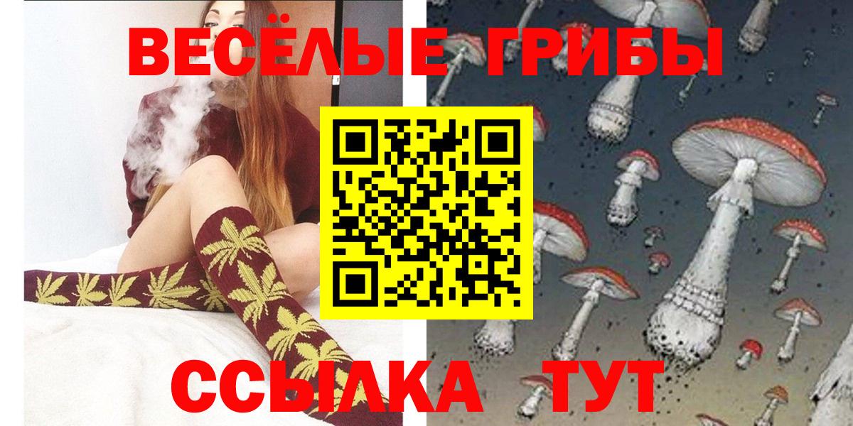 Псилоцибиновые грибы Psilocybine cubensis Нальчик