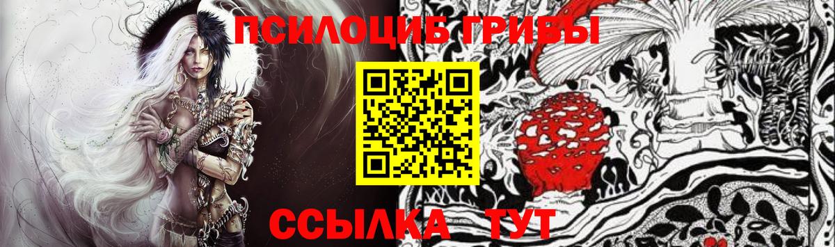 Нальчик  Псилоцибиновые грибы мицелий  где купить   Вход с VPN 
