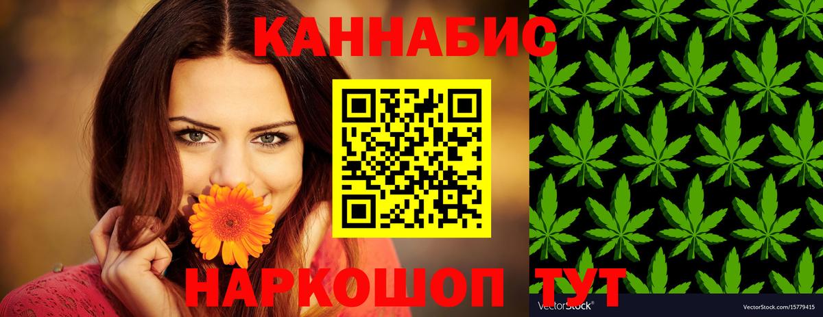 Каннабис гибрид Нальчик